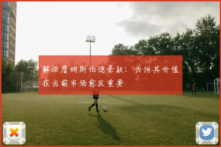 解读詹姆斯伯德条款：为何其价值在当前市场愈发重要